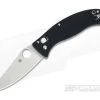 Spyderco D'Allara 3 Ball Bearing Lock G-10 Folder C82GP3 2 Spyderco D'Allara 3 Ball Bearing Lock G-10 Folder C82GP3 -Rescue Knives Sales Store c82gp3 2